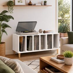 Record Storage Cabinet White Vinyl LP Display Music Collection Organizer
