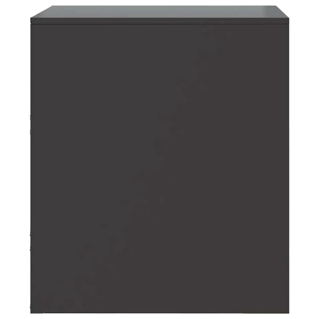 Bedside Cabinets 2 pcs Black Storage Tables Bedroom Nightstand Furniture Set