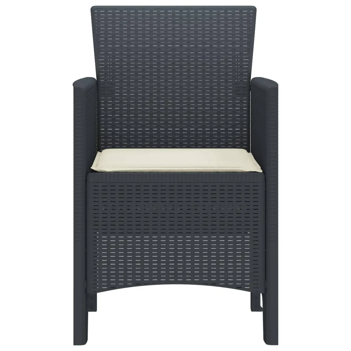Outdoor Garden Chair Set 2 Piece Anthracite Modern Seating Polypropylene Patio