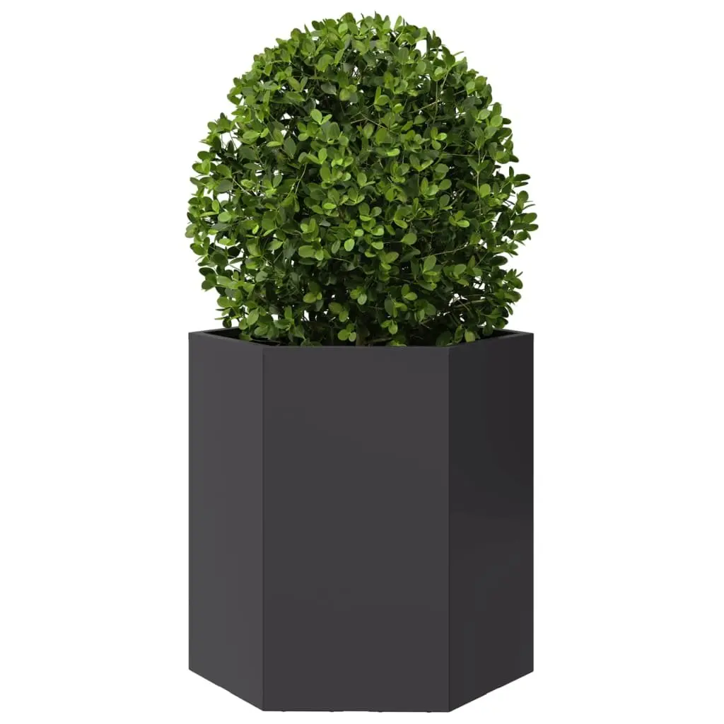 Garden Planters Outdoor 46x40x45 cm Black Hexagon 2 pcs Raised Flower Pot
