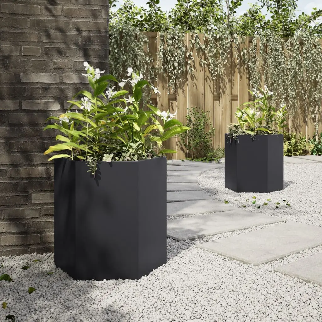 Garden Planters Outdoor 46x40x45 cm Black Hexagon 2 pcs Raised Flower Pot
