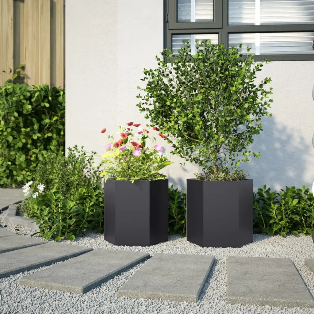 Garden Planters Outdoor 46x40x45 cm Black Hexagon 2 pcs Raised Flower Pot