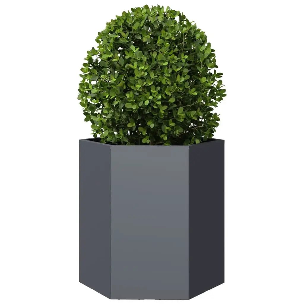 Anthracite Hexagon Garden Planters 2 pcs