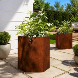 Garden Planters Set of 2 Hexagon 46x40x45 cm Weather-Resistant Steel