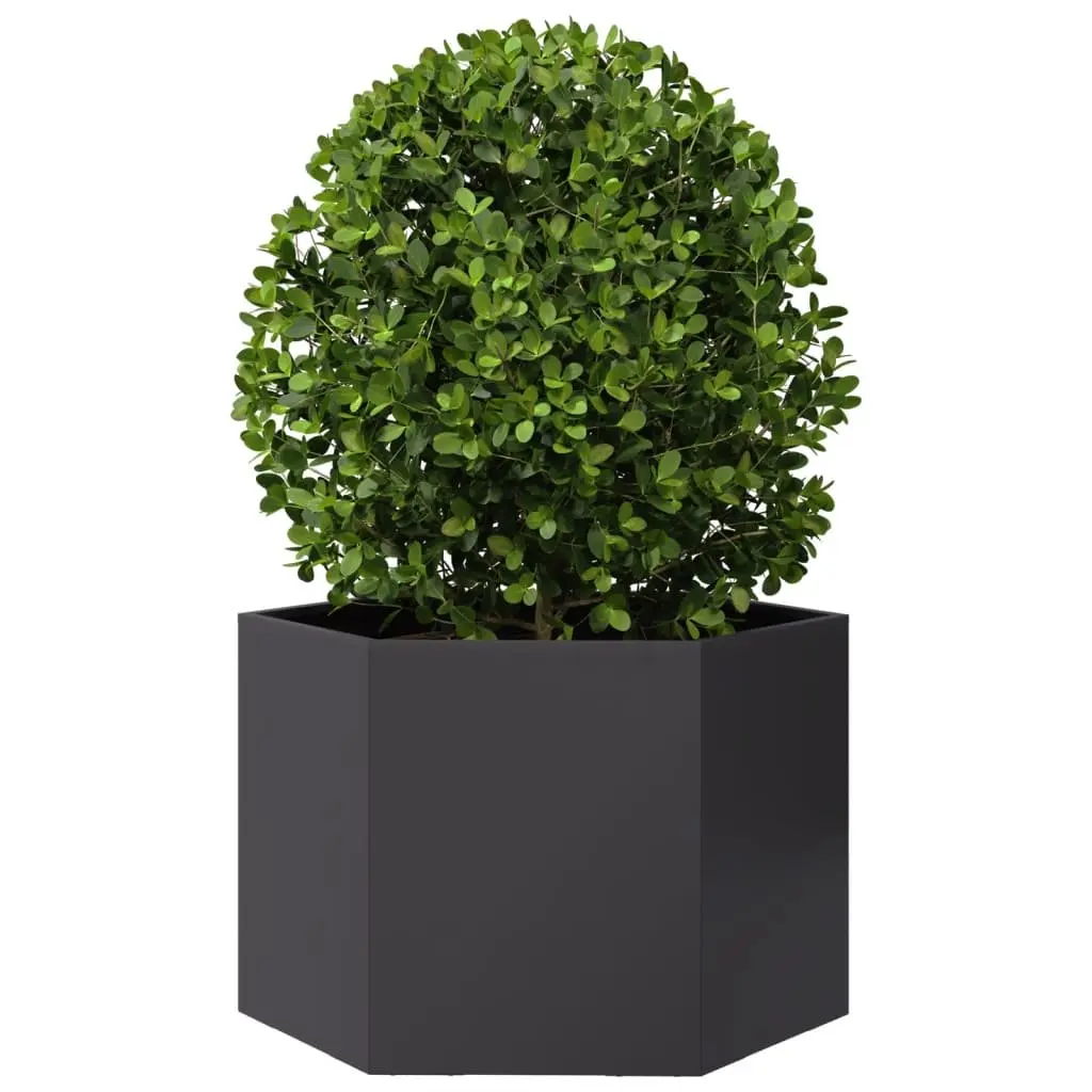 Garden Planter Hexagon Black Raised Bed Outdoor Flowers Plants Steel 69x60x45cm