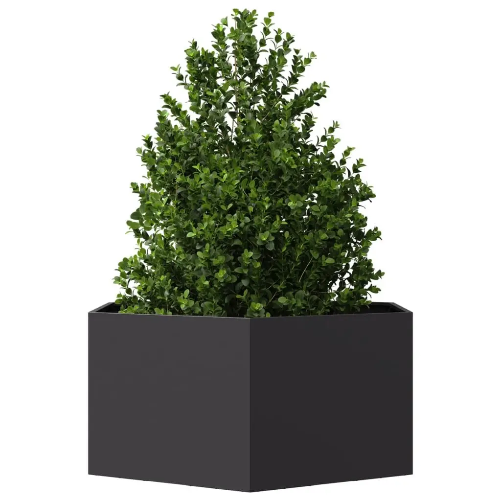 Hexagon-Shaped Garden Planter with Open Bottom