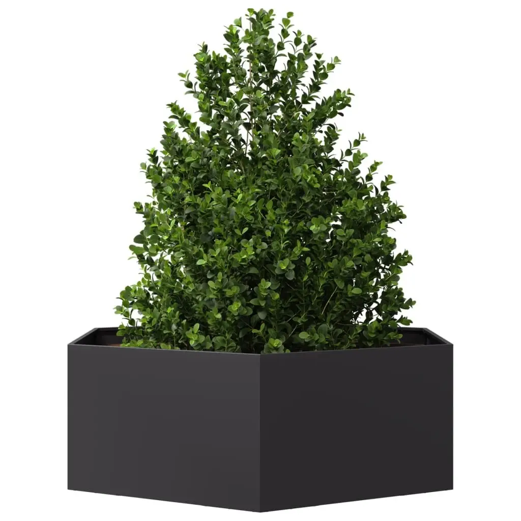Garden Planter Hexagon Black Raised Bed Outdoor Flowers Plants Vegetables Herbs