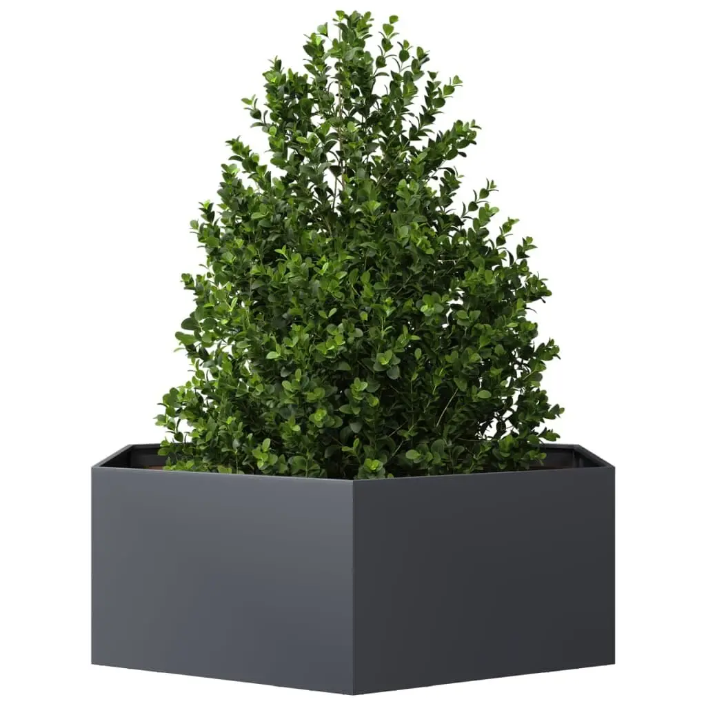 Hexagon Steel Garden Planter Anthracite Outdoor Raised Bed for Flowers and Herbs 138x120x45cm
