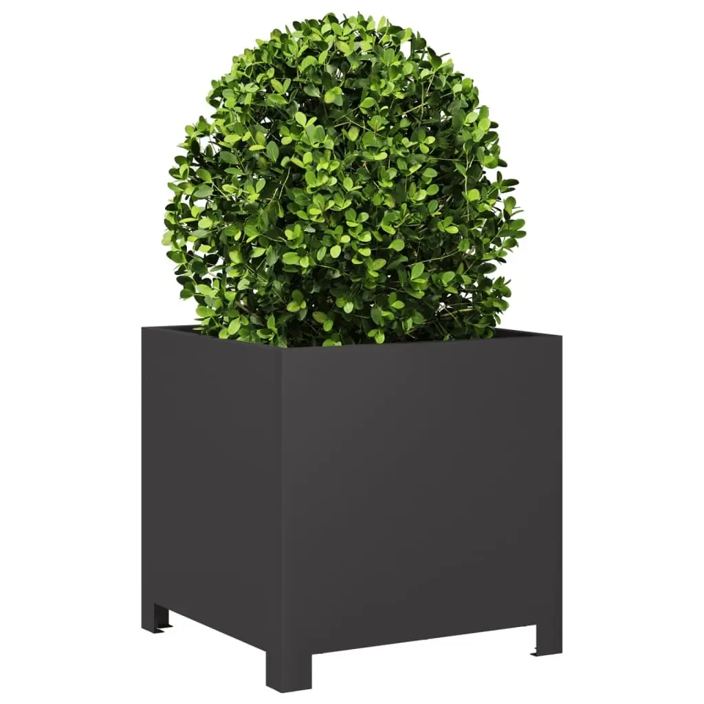 Garden Planters Outdoor 40x40x40 cm Black 2 Piece