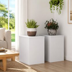 Specifications for White Plant Stands - 2 Pieces, 25x25x35 cm
