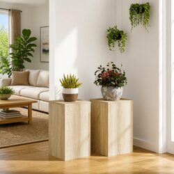 Engineered Wood Plant Stands 30x30x50 cm - Set of 2