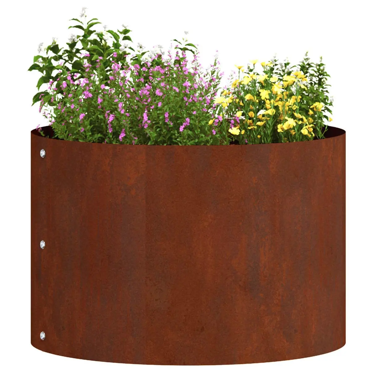 Planter Ring 5 pcs Brown Steel 30 x 30 x 20 cm Round Garden Bed Border Frame