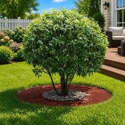 Decorative Tree Ring Garden Protection 30/60 cm Brown Outdoor Landscaping