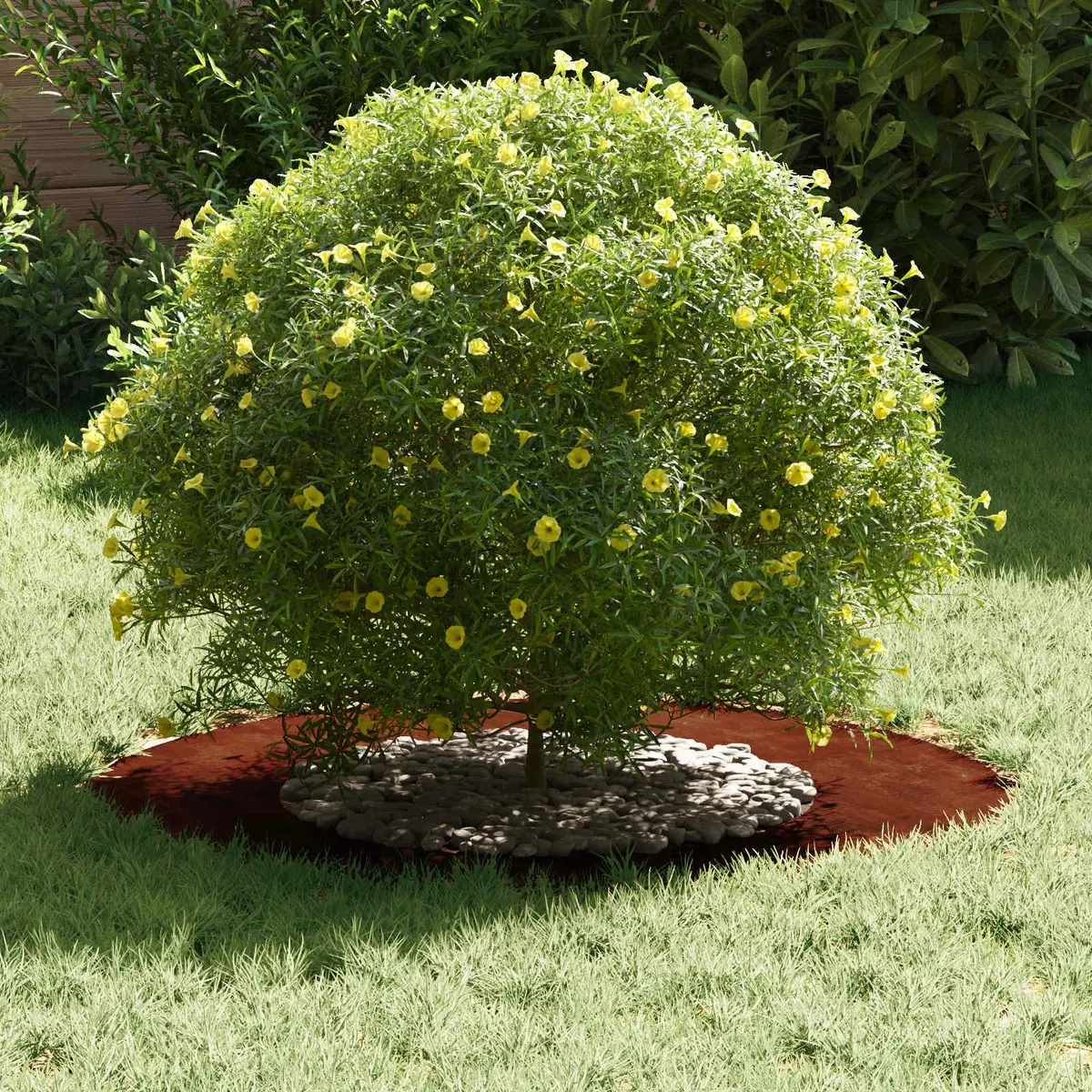 Brown Decorative Tree Ring 40cm or 70cm for Garden Use