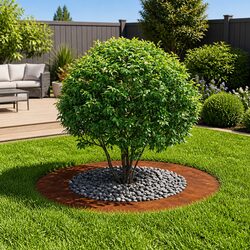 Tree Ring Planter Specifications: Rusty Brown, 50cm/80cm