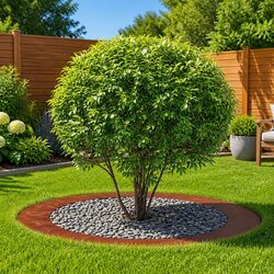 Specifications of 5-Piece Tree Ring Set for Flat Trees
