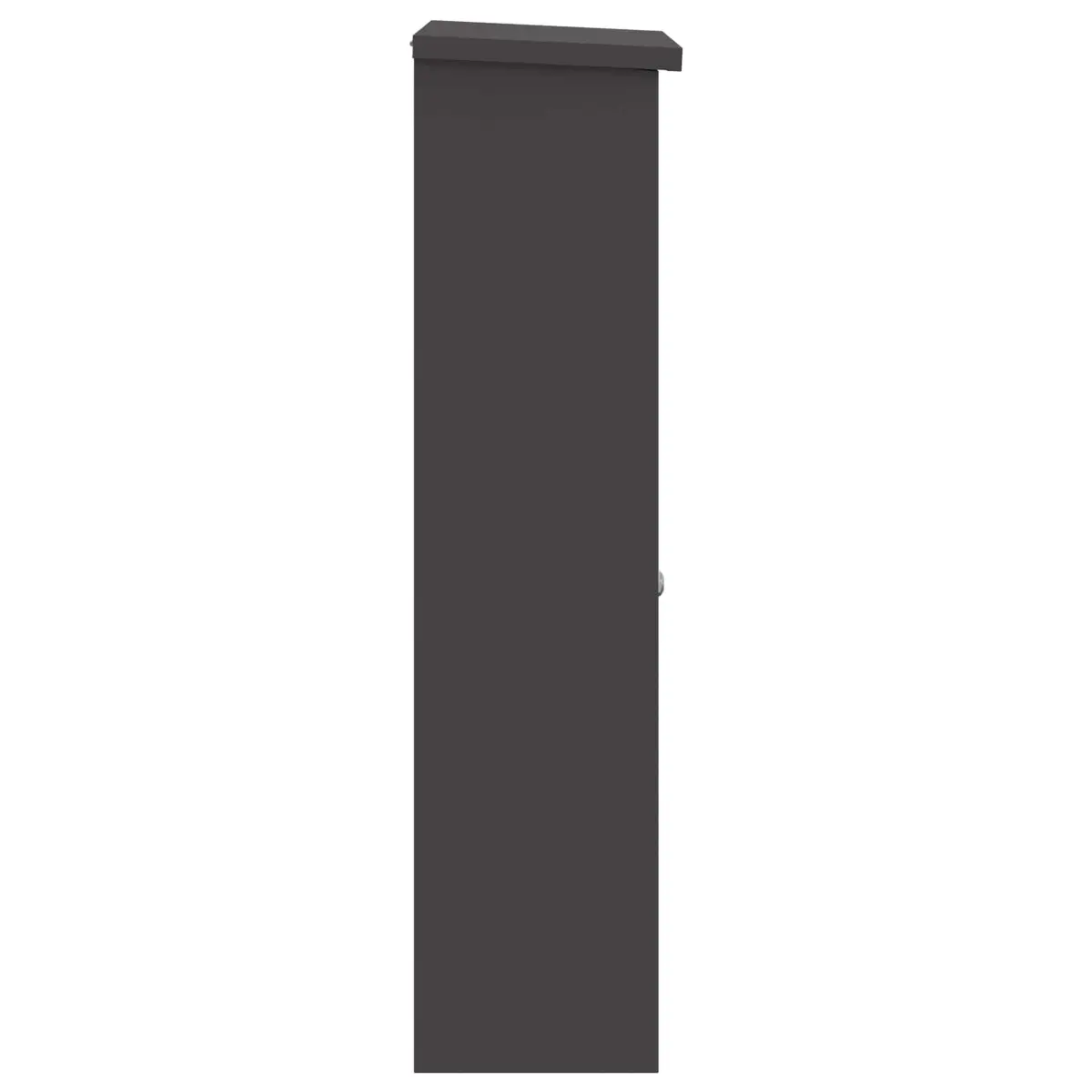 Parcel Drop Box Outdoor Steel Black 44.5 x 29 x 110.5 cm