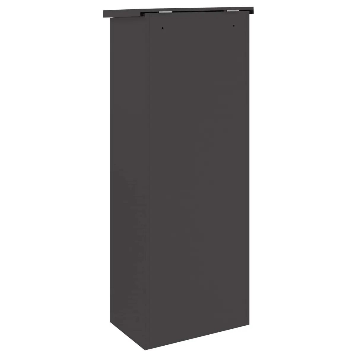 Parcel Drop Box Outdoor Steel Black 44.5 x 29 x 110.5 cm
