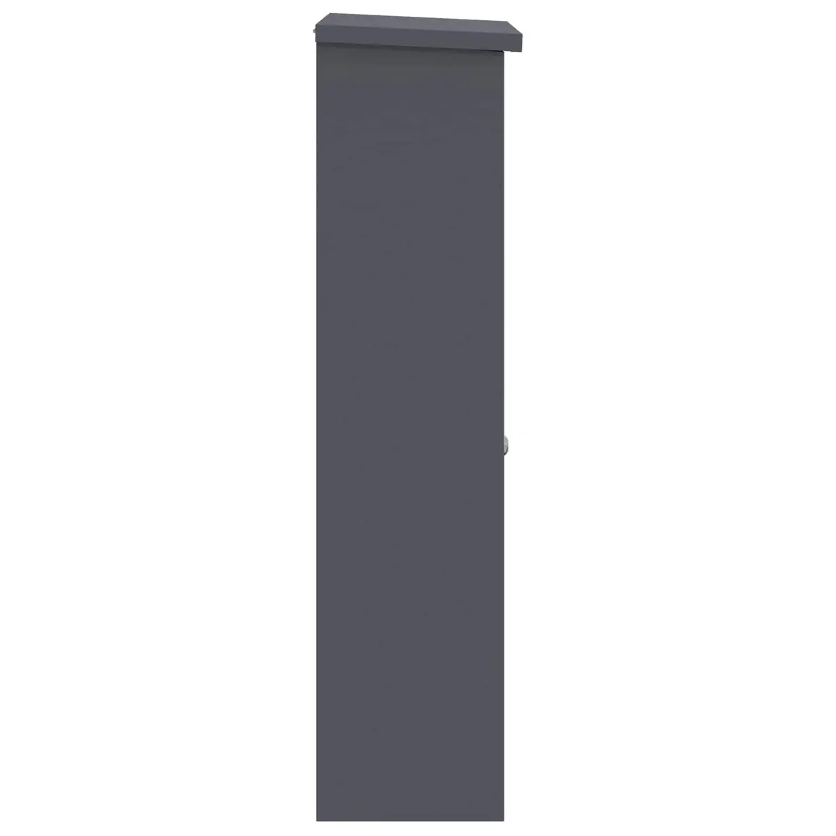 Parcel Drop Box with Door Anthracite 44.5 x 29 x 110.5 cm Steel Outdoor