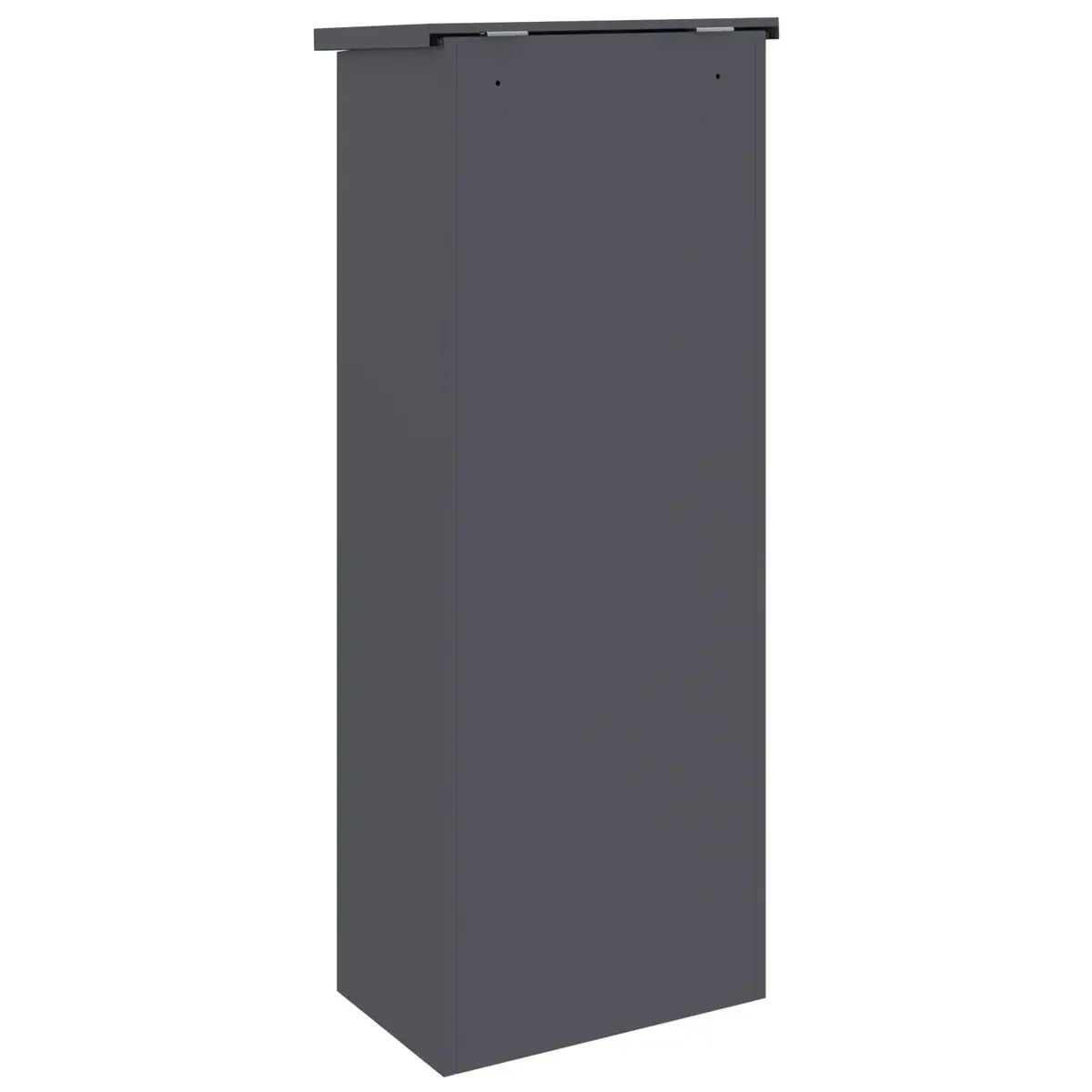 Parcel Drop Box with Door Anthracite 44.5 x 29 x 110.5 cm Steel Outdoor
