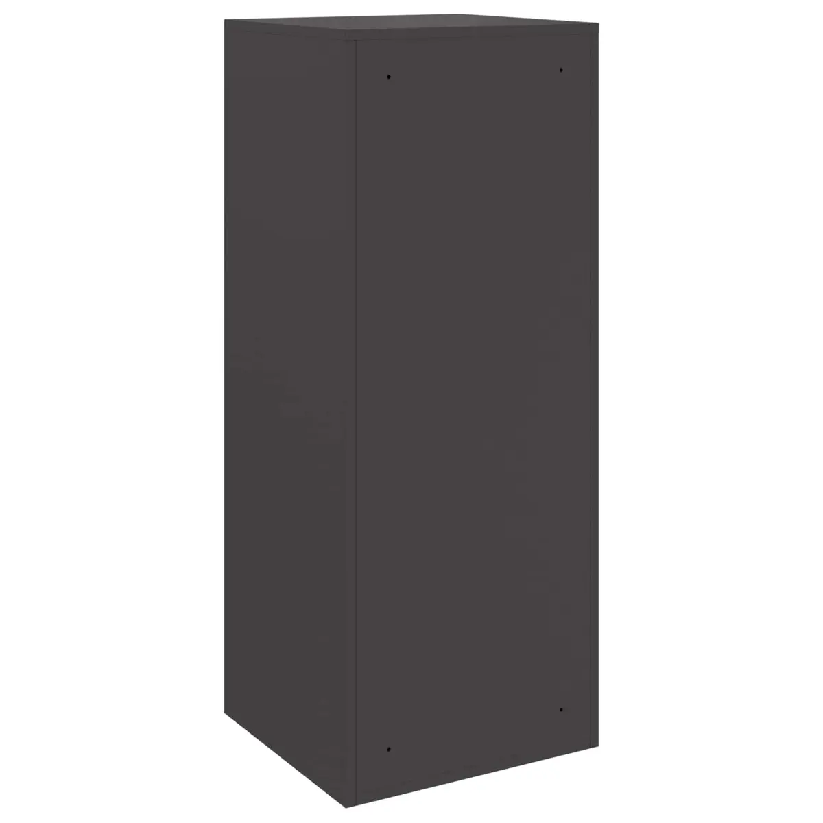 Parcel Drop Box with Storage Hinge Door Deadbolt Lock Black Steel Outdoor