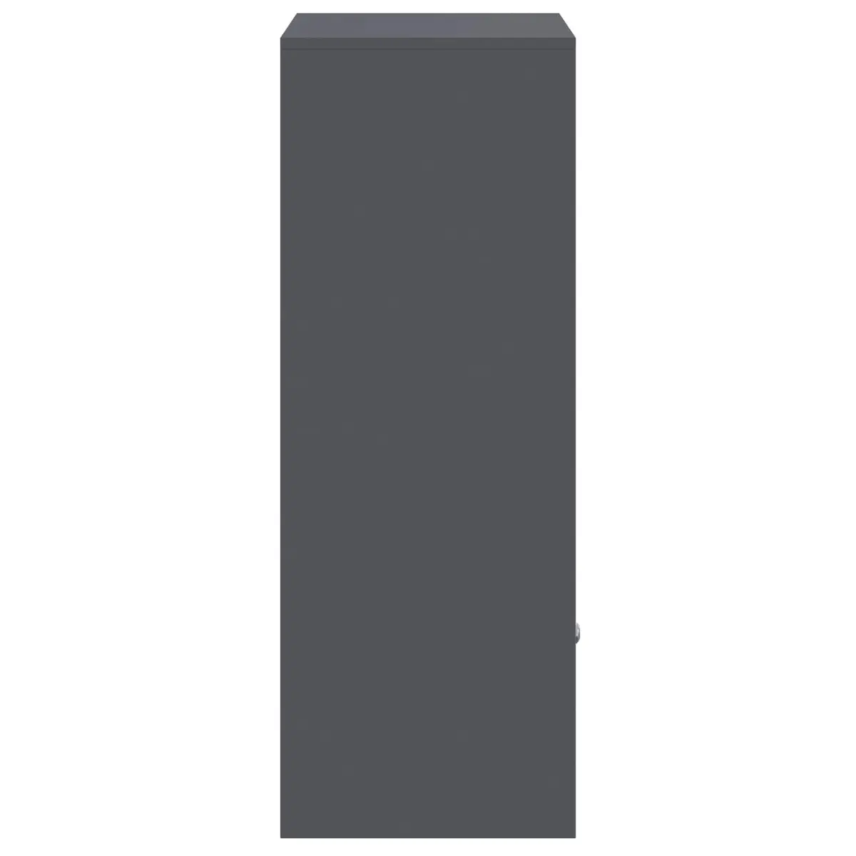 Parcel Drop Box Outdoor Garden Mailbox Steel Anthracite 41 x 38 x 103 cm