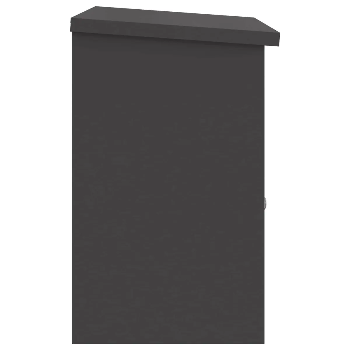 Parcel Drop Box with Storage Black 47.5 x 38 x 59 cm Steel Outdoor Mailbox