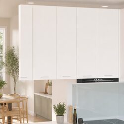 Dimensions of Modern Hanging Kitchen Cabinet: 30 x 31 x 100 cm