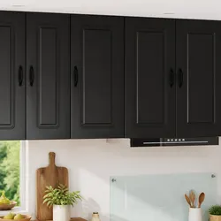 Black Kitchen Cabinet with Dimensions of 40 x 31 x 80 cm