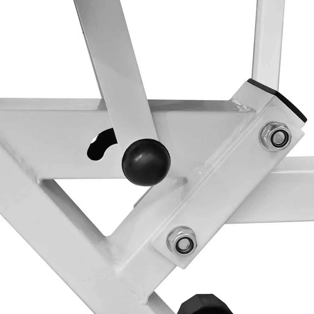 Fitness Workout Utility Bench with Adjustable Backrest