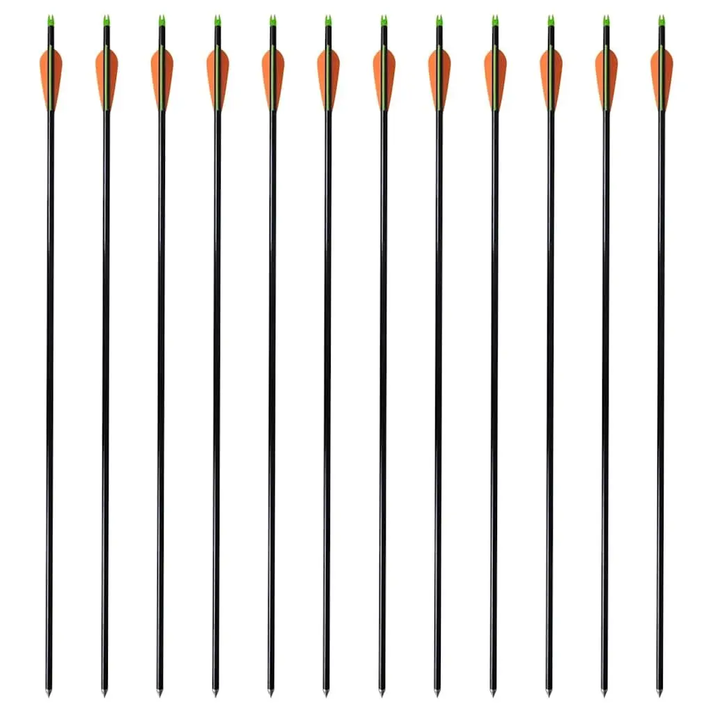 Fiberglass Arrows for Compound Bow 30 Inch 12 Piece