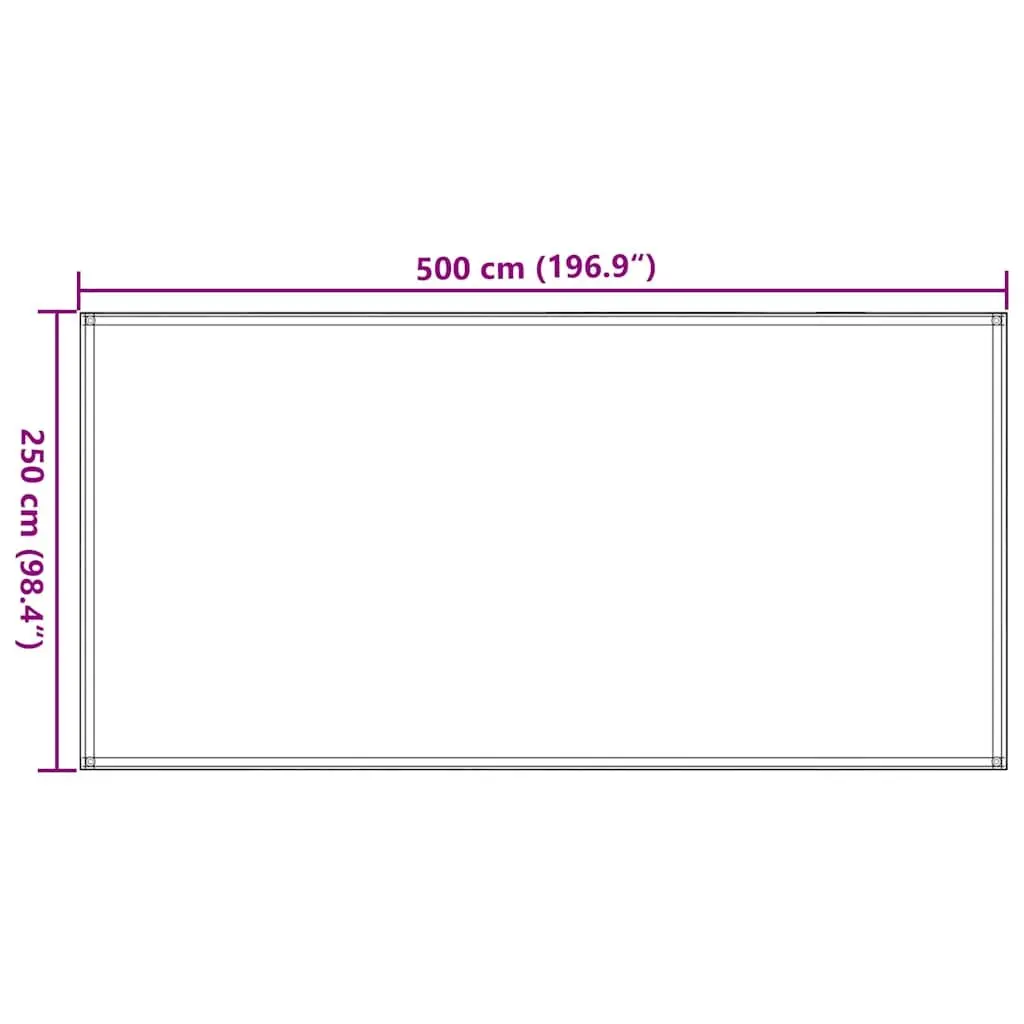 Tent Carpet Outdoor Camping 250x500 cm Anthracite