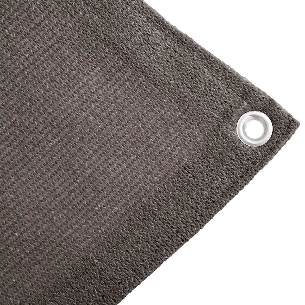 Tent Carpet Outdoor Camping 300x400 cm Anthracite