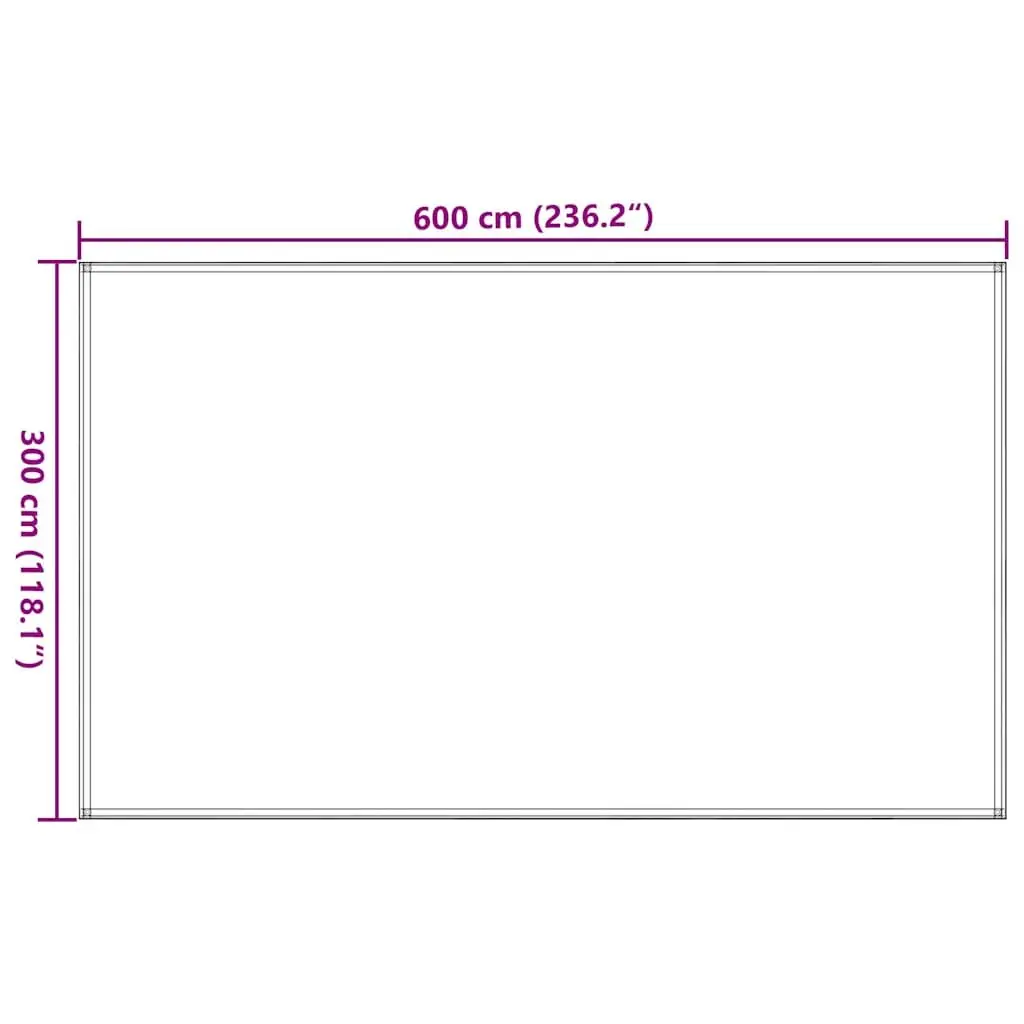 Tent Carpet Outdoor Camping 300x600 cm