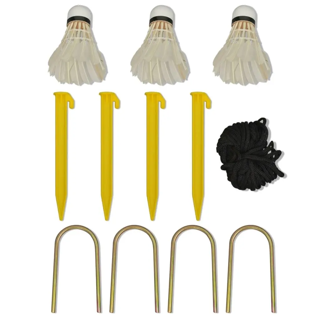 Badminton Net Set for Outdoor Games 300x155cm