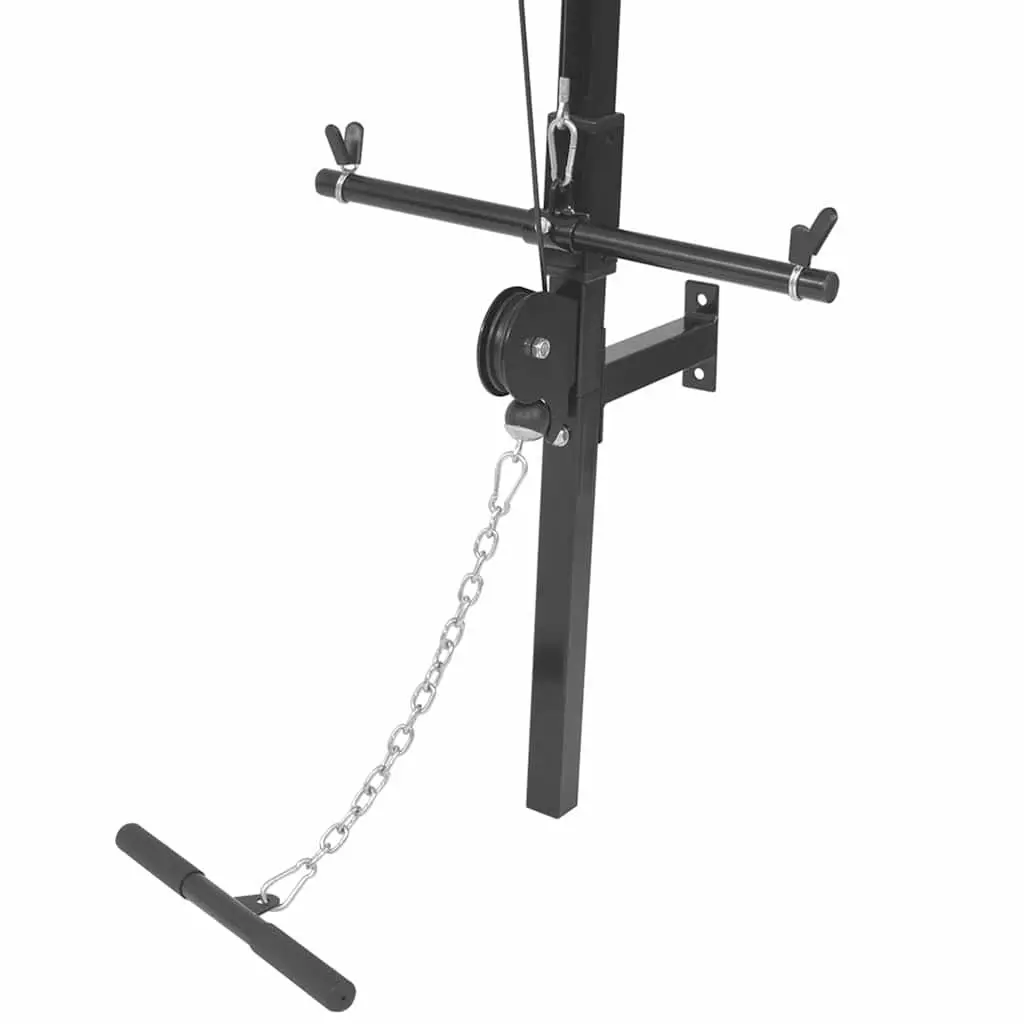 Wall-Mounted Home Gym System with Dual Pulleys for Full-Body Strength Training