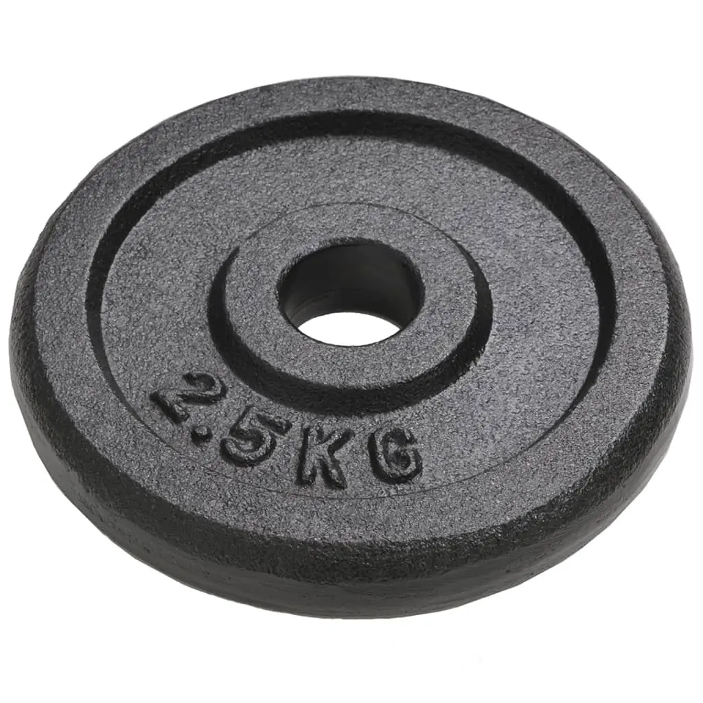 Cast Iron Weight Plates for Home Gym Training 2.5 kg Each 8 Piece