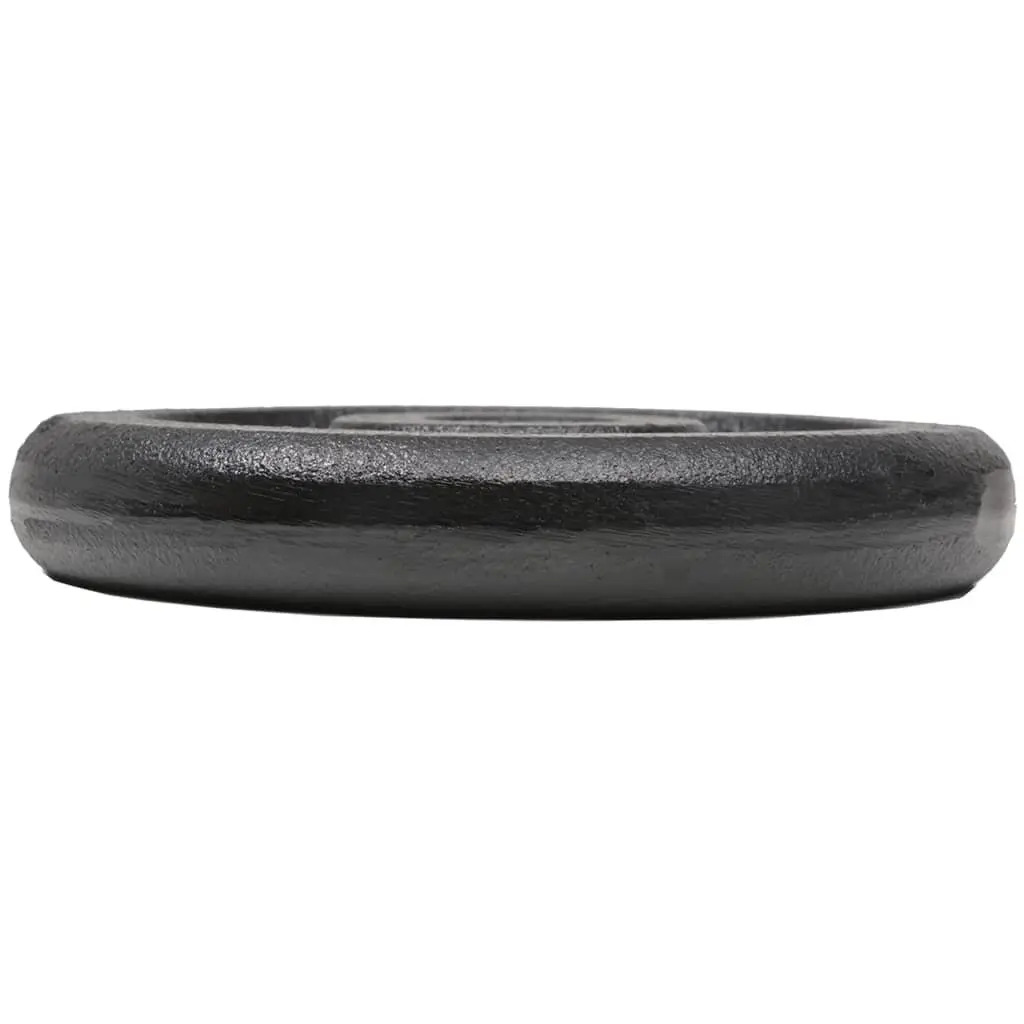 Cast Iron Weight Plates for Home Gym Training 2.5 kg Each 8 Piece