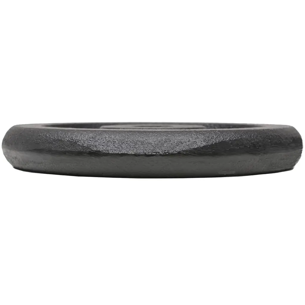 Cast Iron Weight Plates Set for Home Gym 4 Piece 10kg 5kg