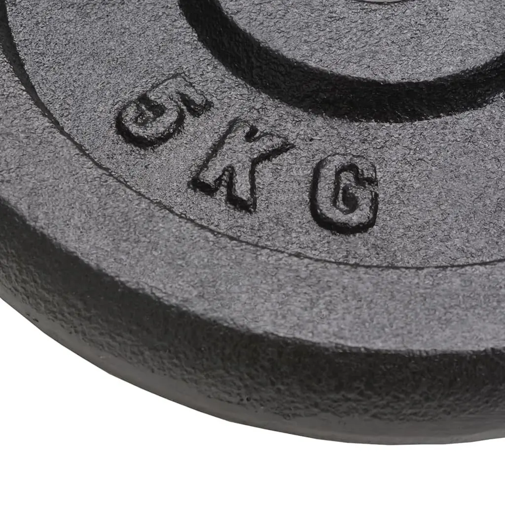 Cast Iron Weight Plates Set for Home Gym 4 Piece 10kg 5kg