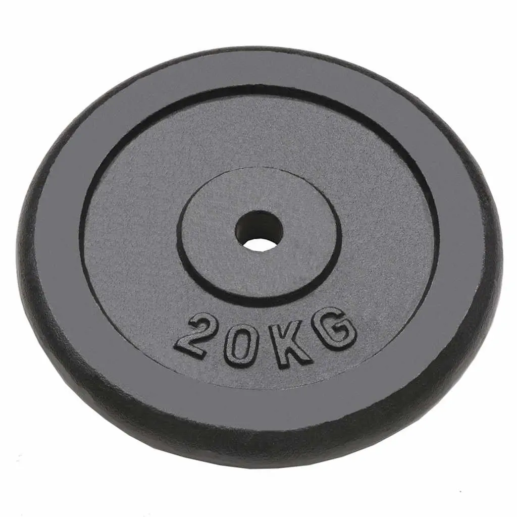 Weight Plates Home Gym Fitness Training 2 Piece 20 kg Cast Iron