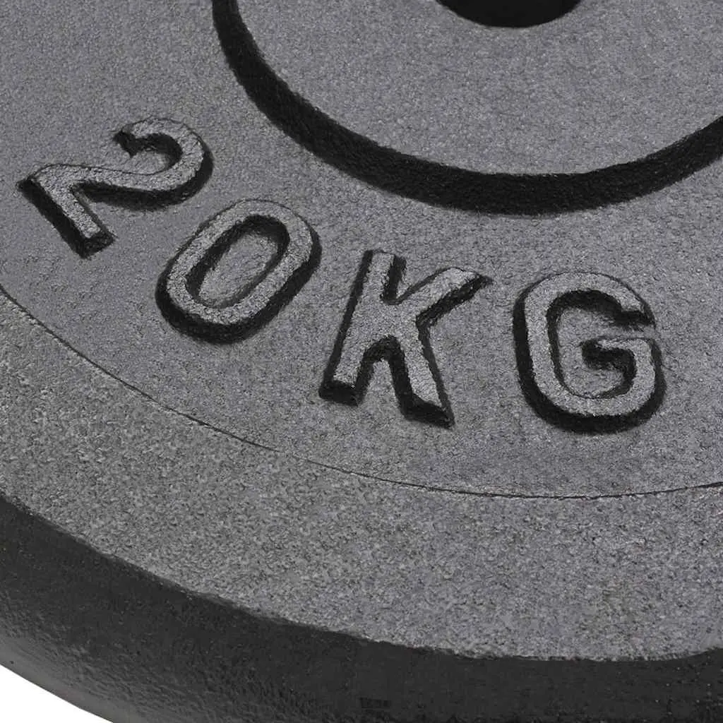 Weight Plates Home Gym Fitness Training 2 Piece 20 kg Cast Iron