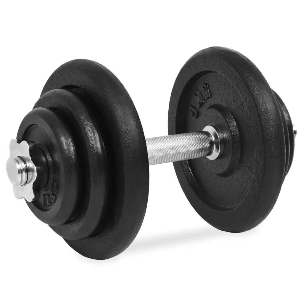 Dumbbell Set 40kg Cast Iron Weight Plates Barbell Home Gym Training Exercise