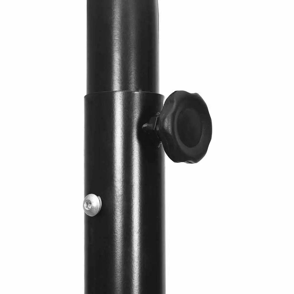 Basketball Hoop Stand Indoor Outdoor Adjustable 256-361cm Transparent Polycarbonate