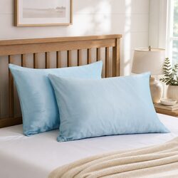 Mulberry Silk Pillowcases Dimensions 51x76cm Soft Blue