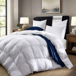 Specifications of Queen Size 800GSM Silk Blend Quilt