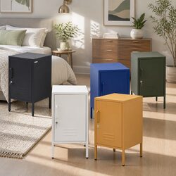 Green Metal Cabinet: 38cm W x 40cm D x 69cm H, Adjustable Shelf