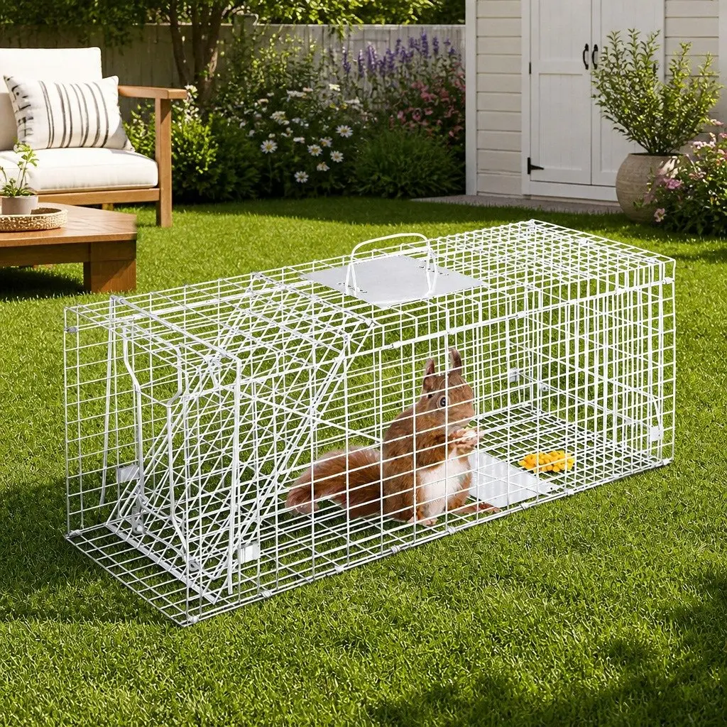 Humane Animal Trap Cage for Pest Control 79x28cm Collapsible with Spring Door