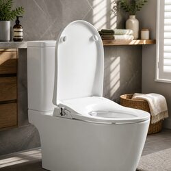 Specifications of D-Shape Non-Electric Bidet Toilet Seat