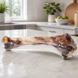 Lamb Bone Dog Chew: Natural, Long Lasting, High Protein
